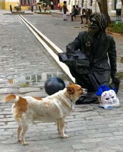 A man painted head to toe to look like a statue. A stray dog stands in front of him.
